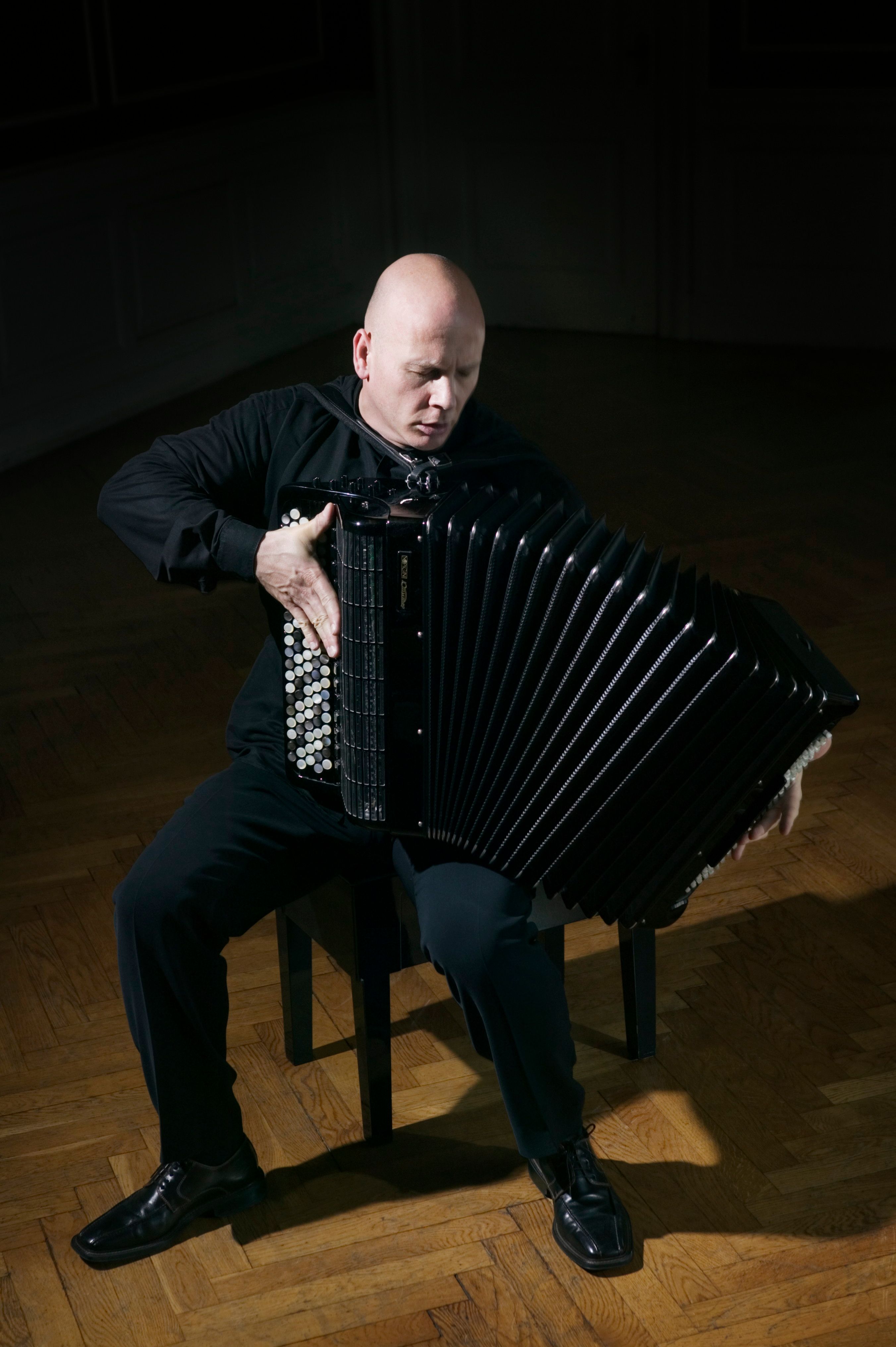 Piazzolla accordion online